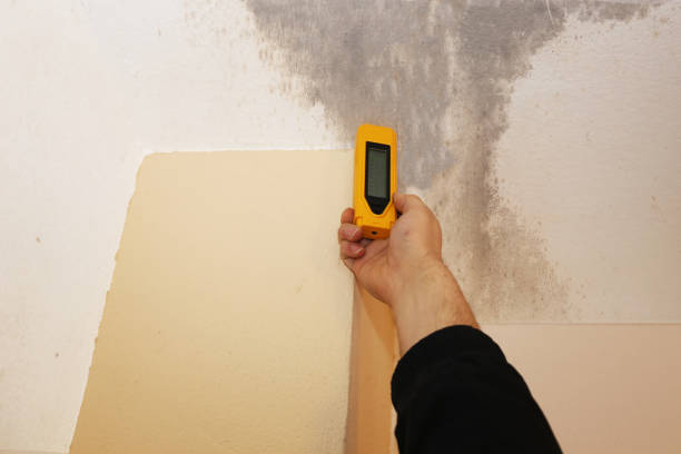 Best Mold Prevention Services  in Watertown, SD