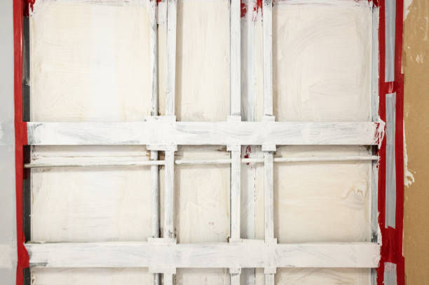 Best Post-Construction Mold Inspection  in Watertown, SD