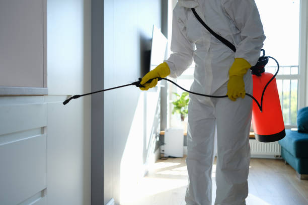 Best Attic Mold Removal  in Watertown, SD