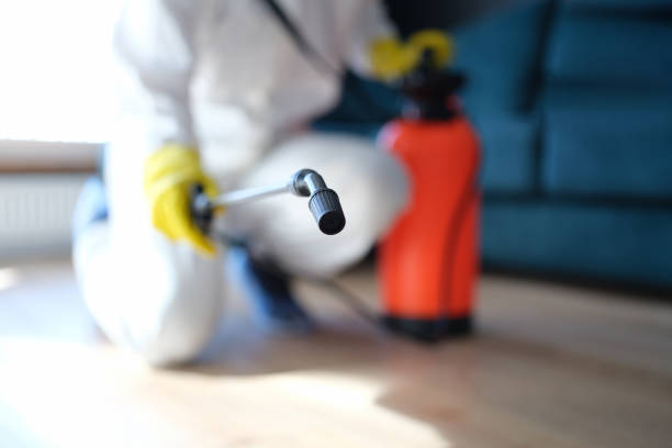 Best Basement Mold Removal  in Watertown, SD
