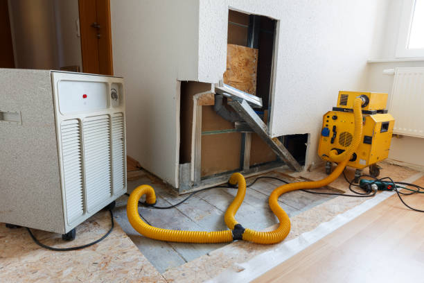 Best Mold Damage Restoration  in Watertown, SD